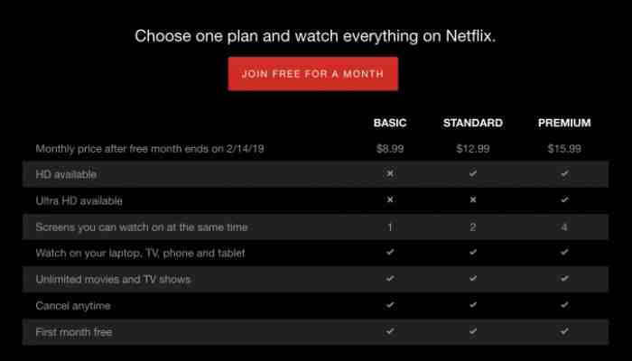 Quel est le prix de Netflix en 2021 ?
