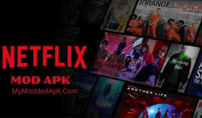 Quel est le prix de l'abonnement à Netflix ?